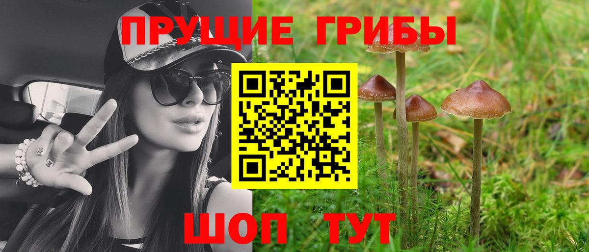 Псилоцибиновые грибы Psilocybine cubensis  Вход с VPN  Псилоцибиновые грибы прущие грибы  Комсомольск-на-Амуре 